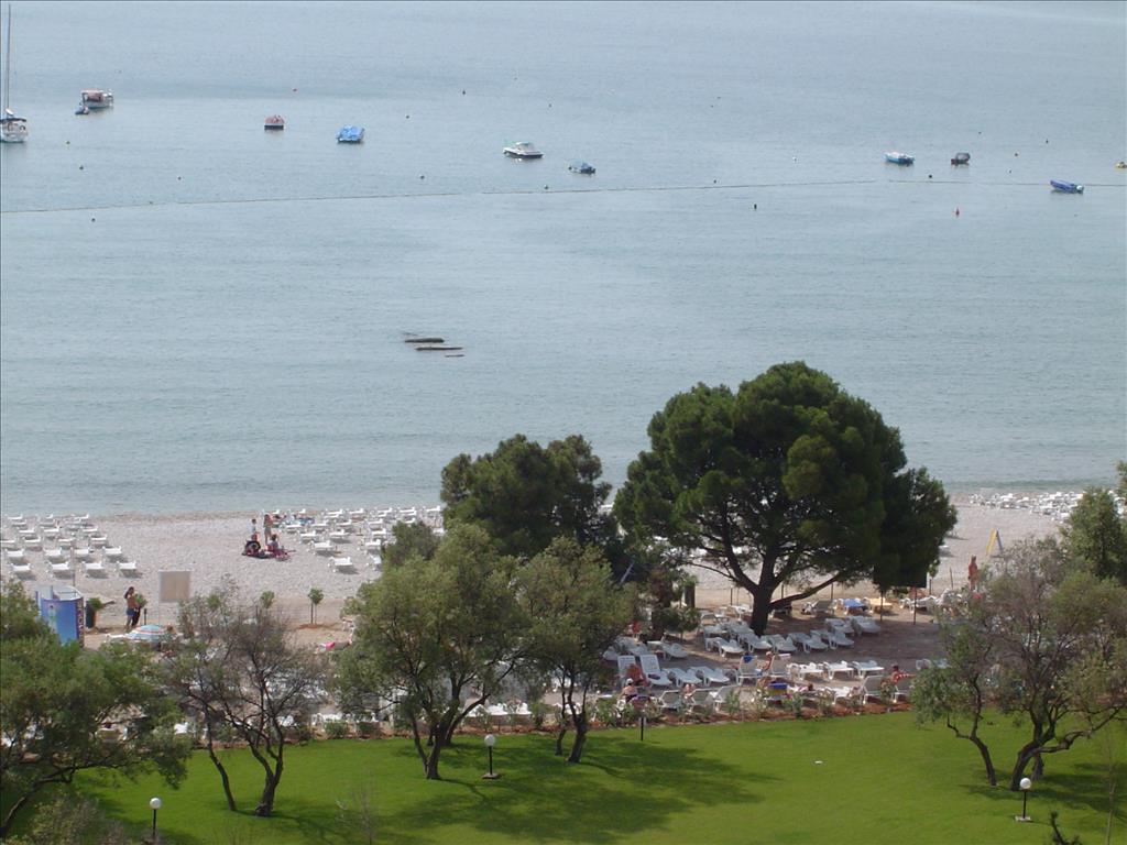 Hotel Mimosa - Spiaggia
