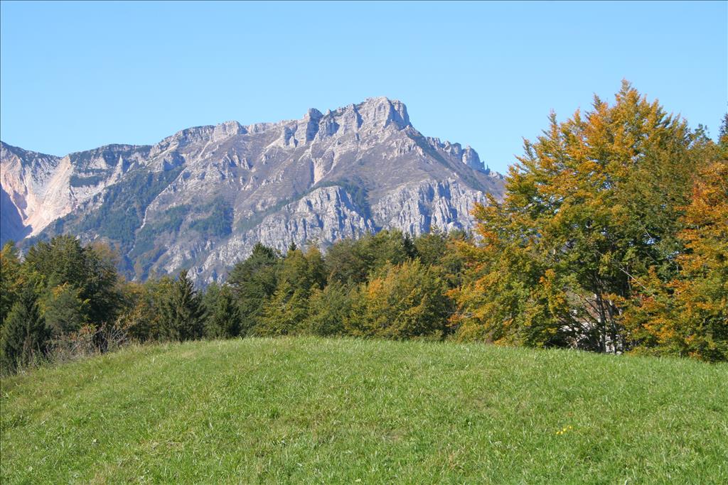 Hotel Miramonti - Panorama