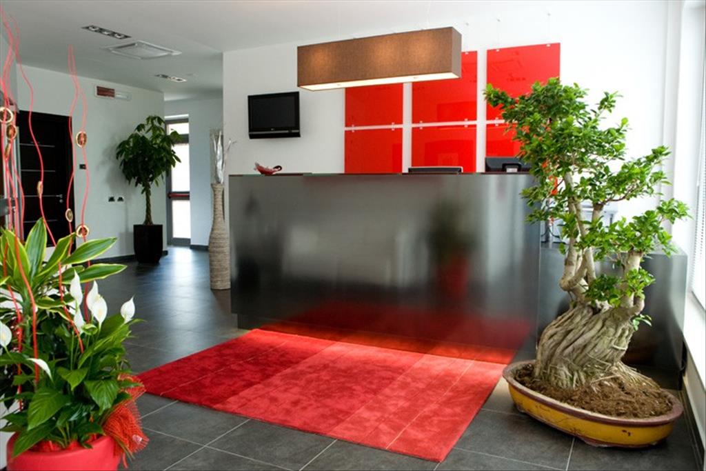 Hotel Napoleon  - Reception