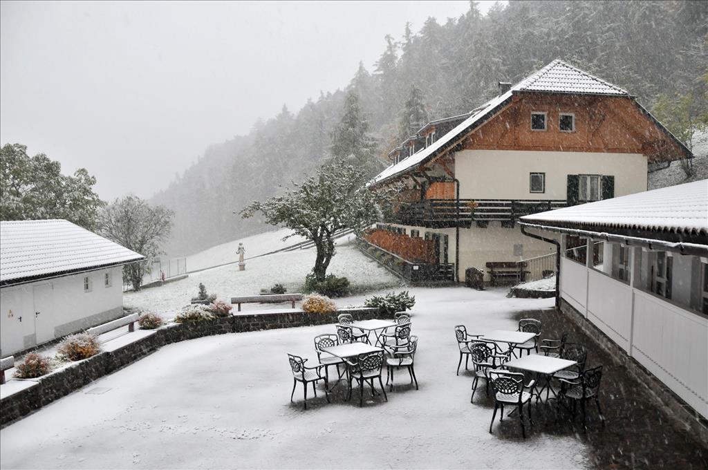 Hotel Naturhotel Wieserhof - Dependance
