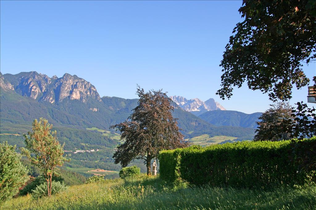 Hotel Naturhotel Wieserhof - Panorama