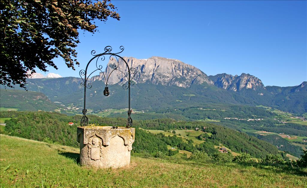 Hotel Naturhotel Wieserhof - Panorama