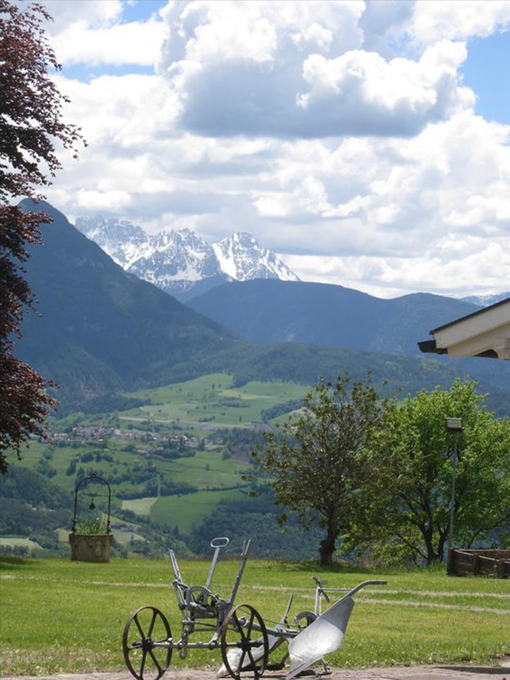 Hotel Naturhotel Wieserhof - Panorama