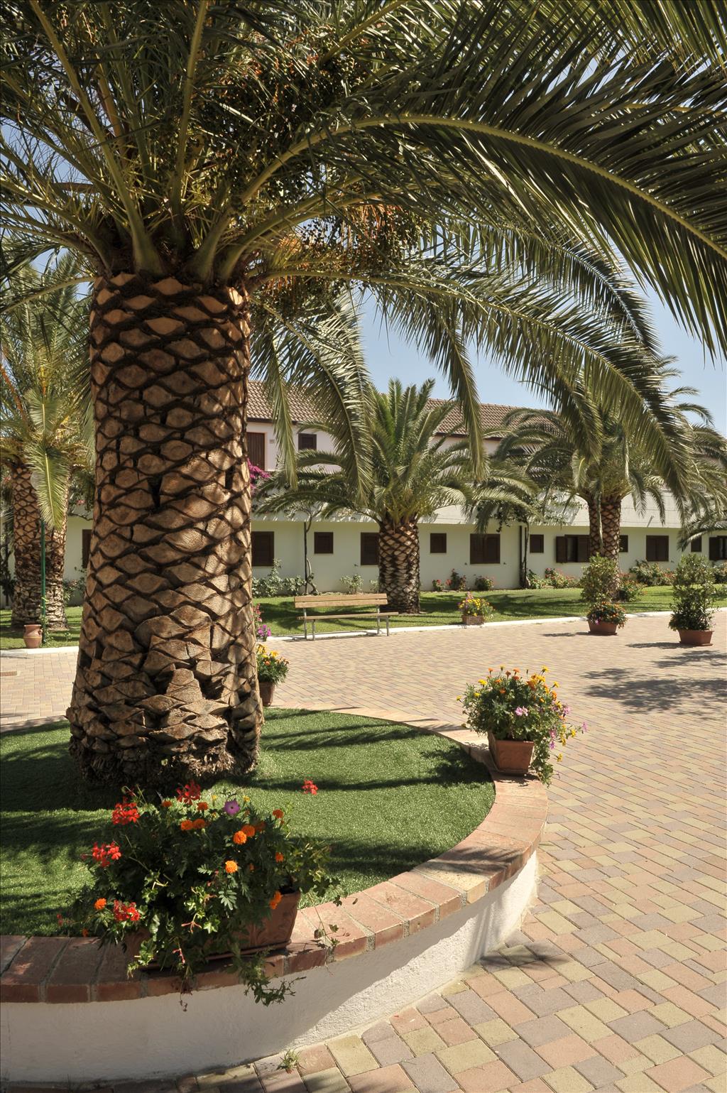 Villaggio Nausicaa  - Giardino