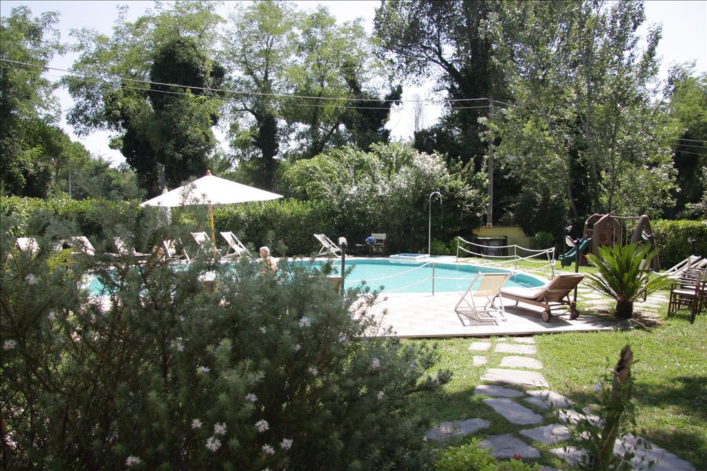Hotel Nedy - Piscina