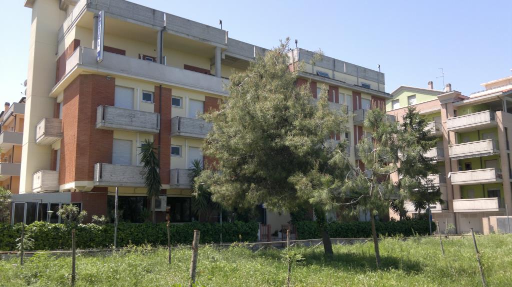 Hotel Nel Pineto - Pineta