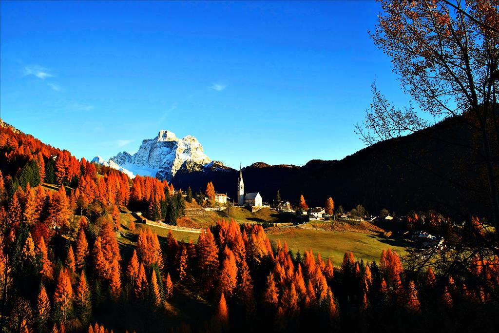 Hotel Nigritella - 
