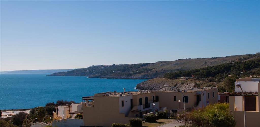 Villaggio Oasi d'Oriente Club - Panorama