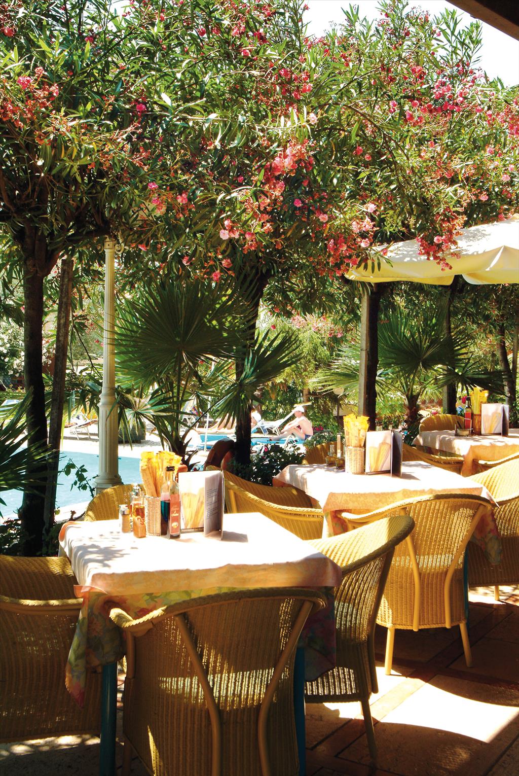 Hotel Olimpo - Ristorante