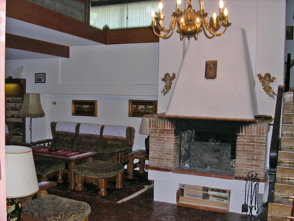 Hotel Olympia - Camino