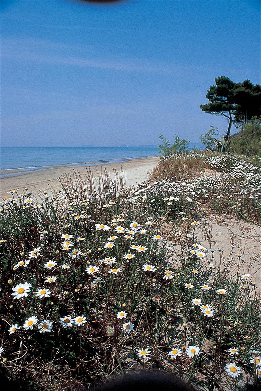 Villaggio Orizzonte - Spiaggia