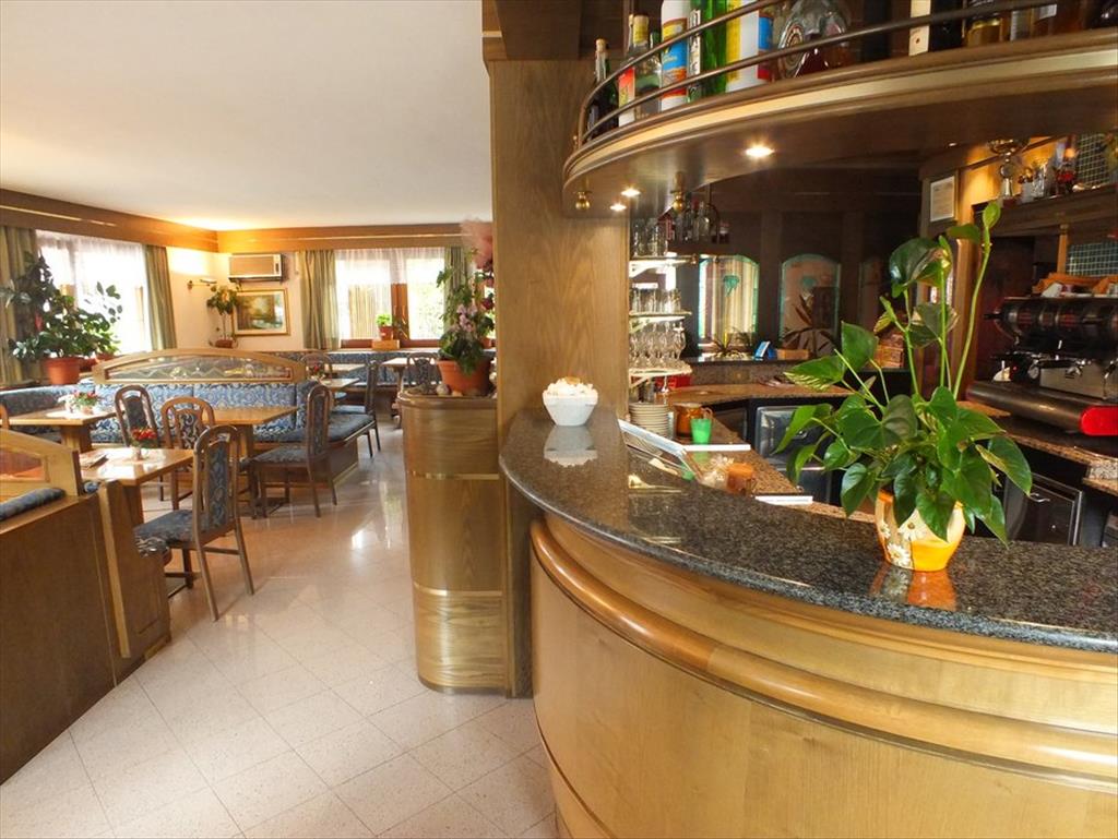Hotel Orso Grigio - Bar