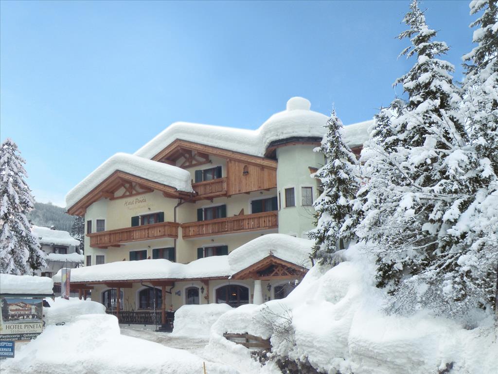 Hotel Pineta - Esterno