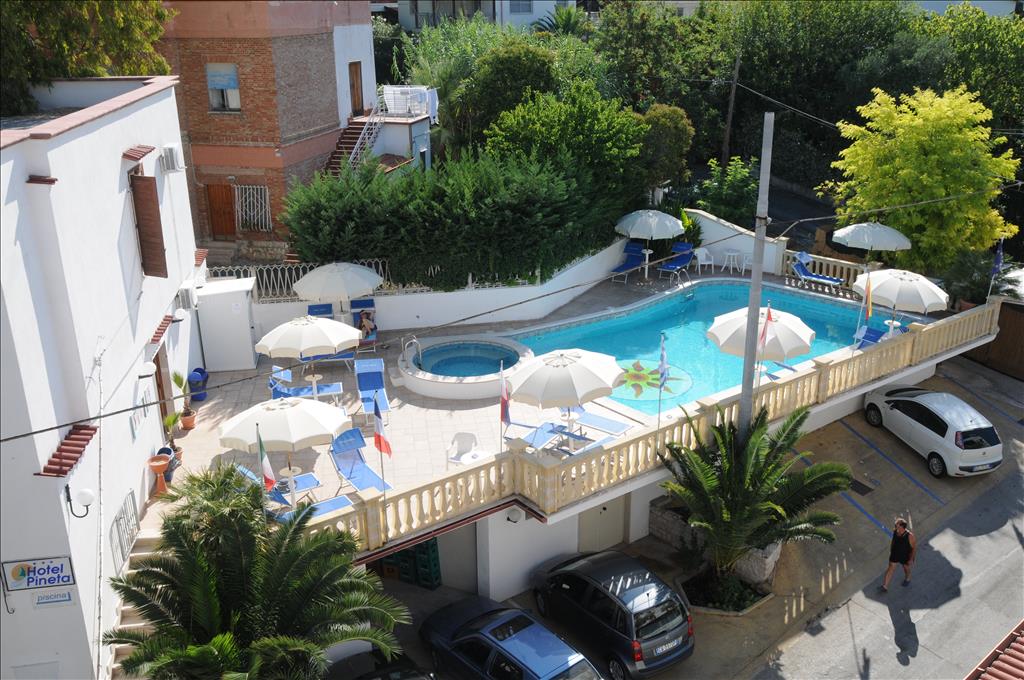Hotel Pineta - Piscina