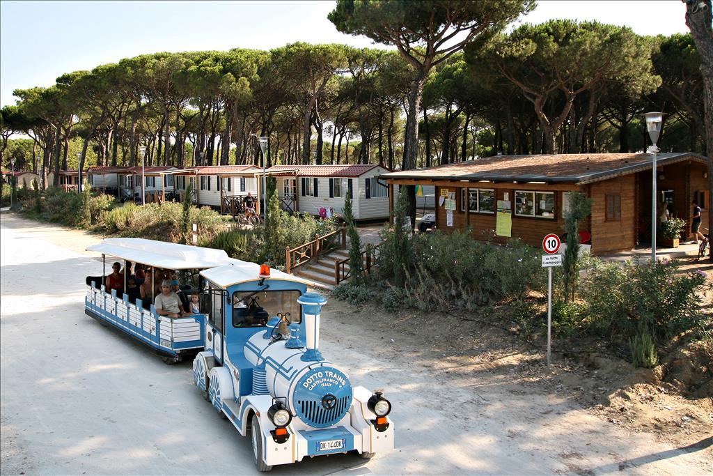 Camping  Pineta sul Mare - Esterno