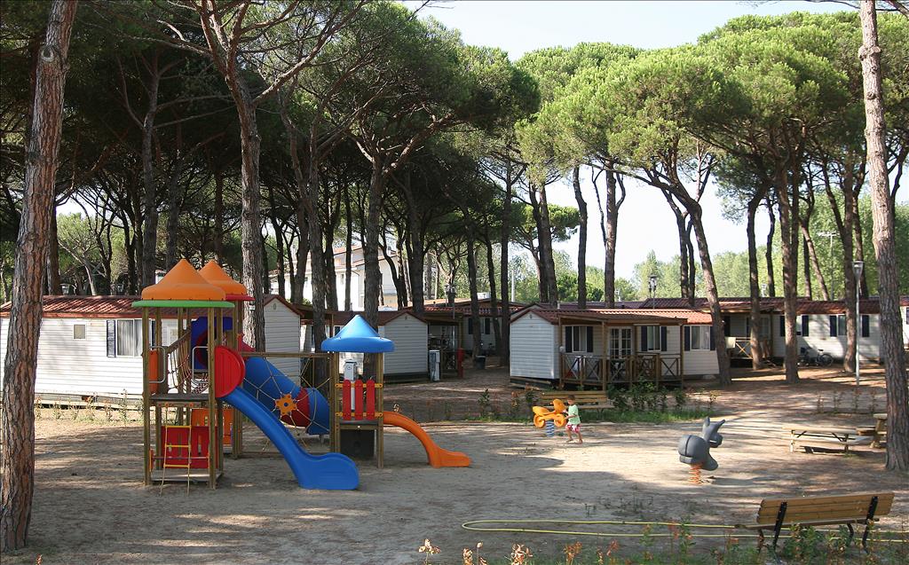 Camping  Pineta sul Mare - ParcoGiochi