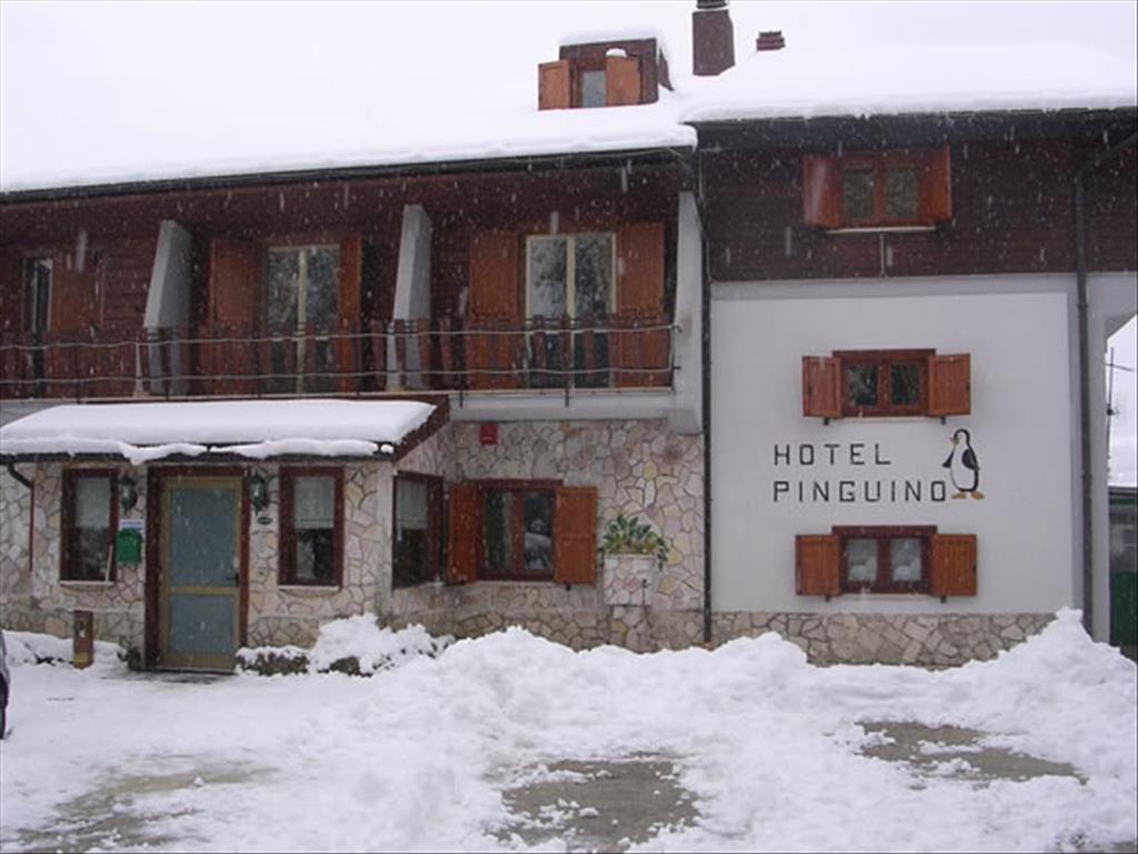 Hotel Pinguino - Esterno