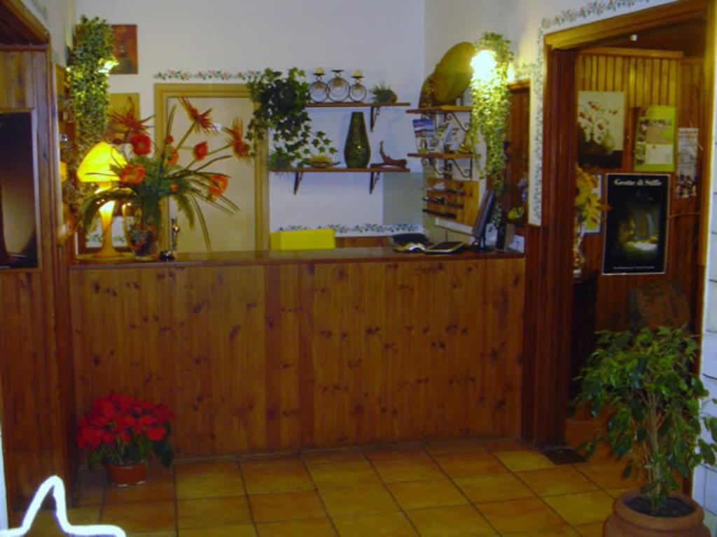 Hotel Pinguino - Reception