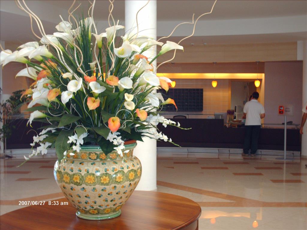 Hotel Portogreco Club - Fiore