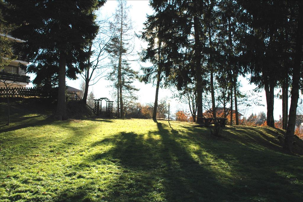 Hotel Regina del Bosco - Giardino