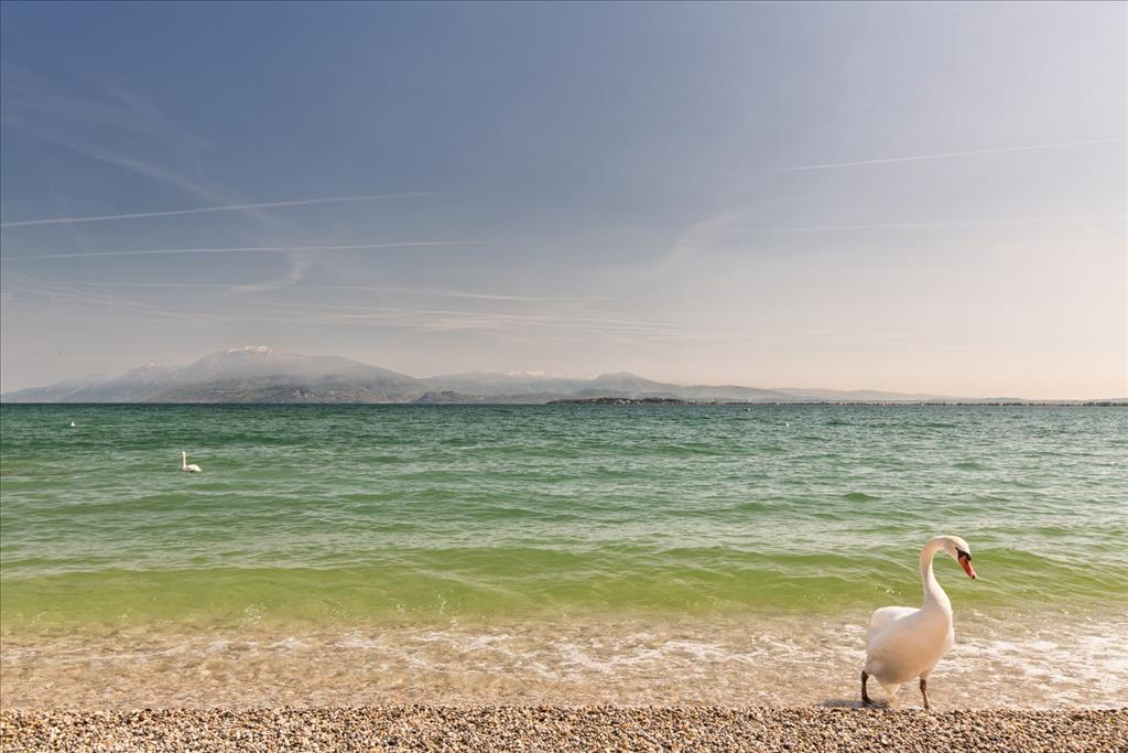 Hotel Riviera - Spiaggia