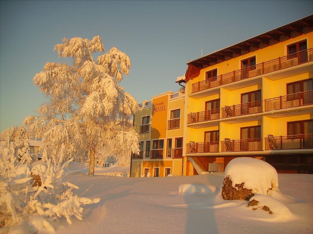 Hotel Rockenschaub - Liebenau