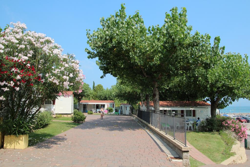 Camping  San Benedetto - Esterno