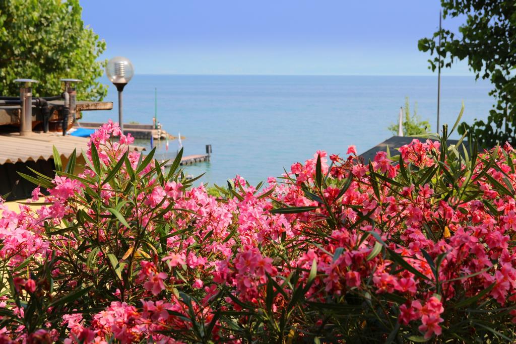 Camping  San Benedetto - Spiaggia