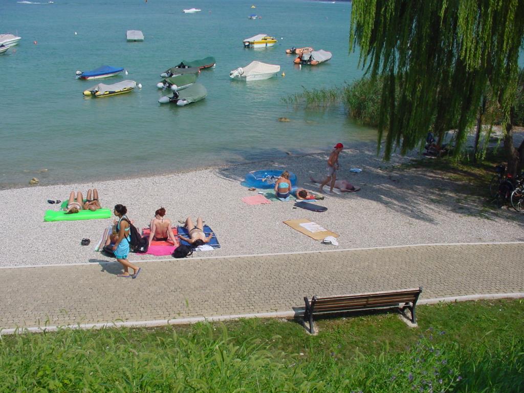 Camping  San Benedetto - Spiaggia