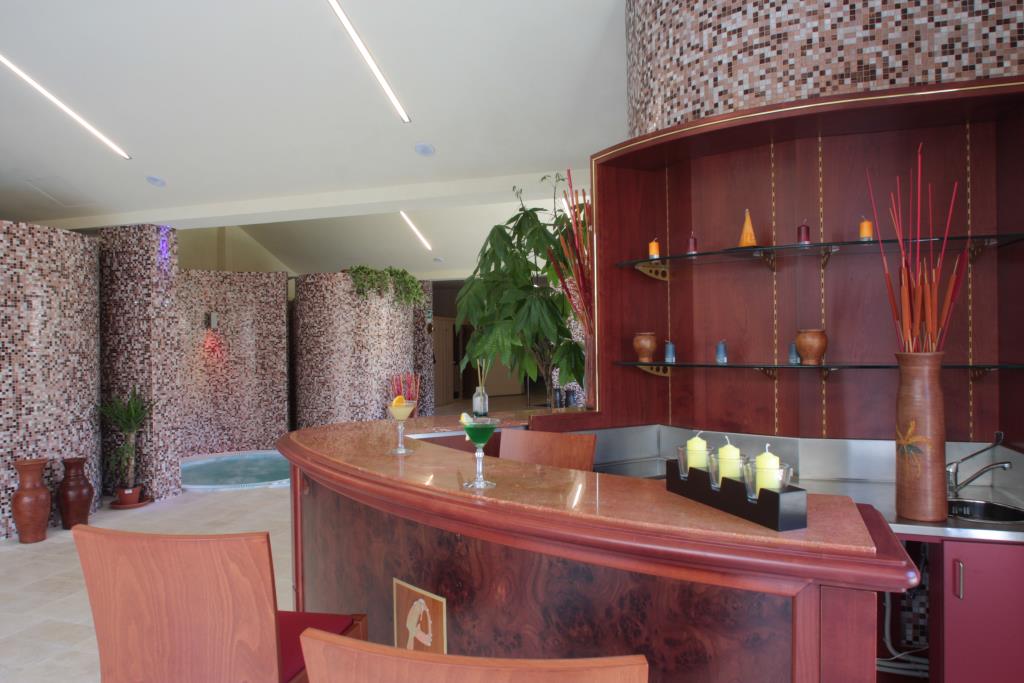 Hotel San Michele Palace - Bar