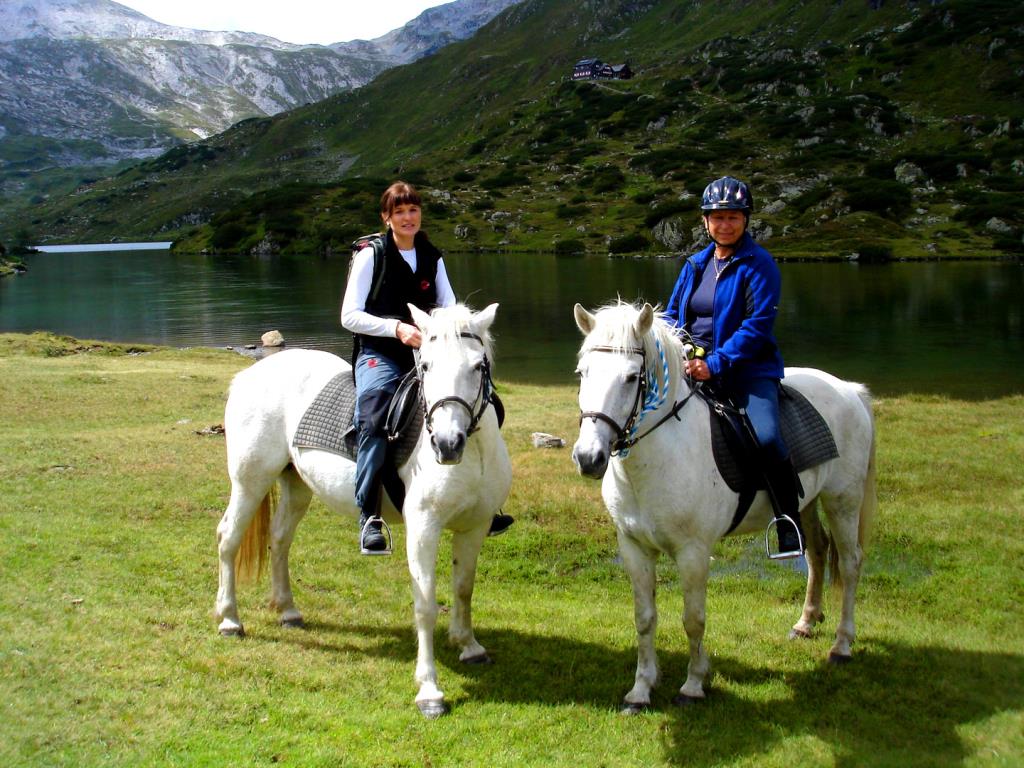 Hotel Seiterhof  - Equitazione