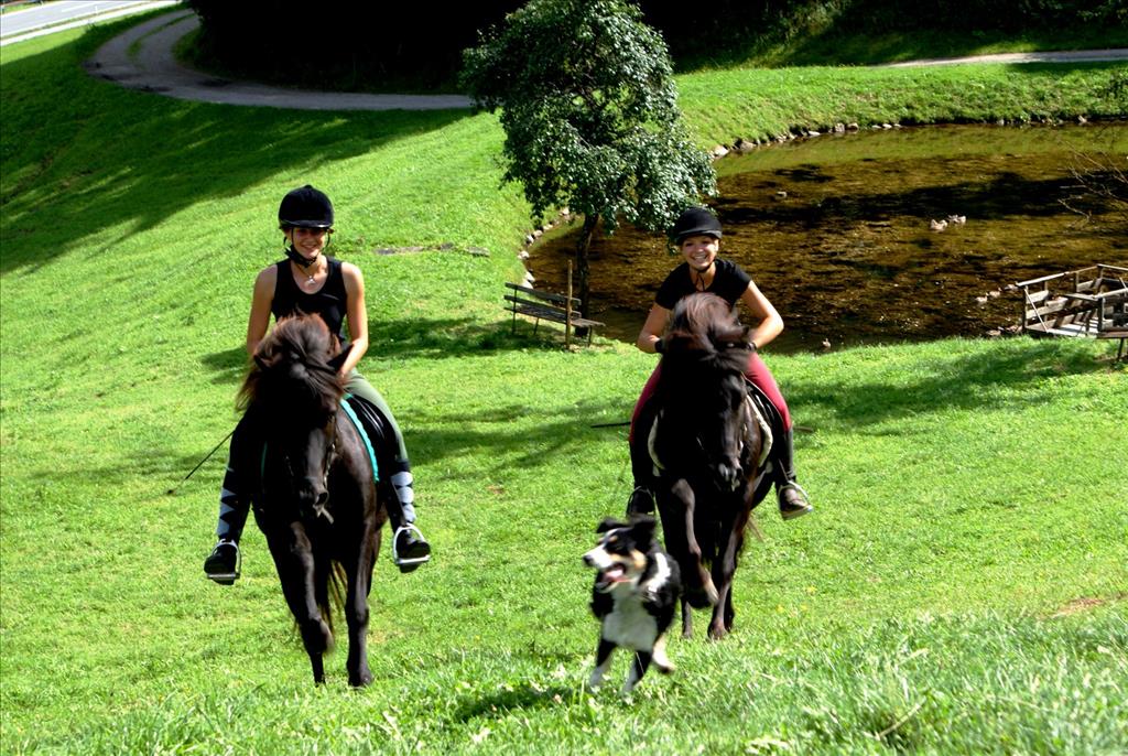 Hotel Seiterhof  - Equitazione
