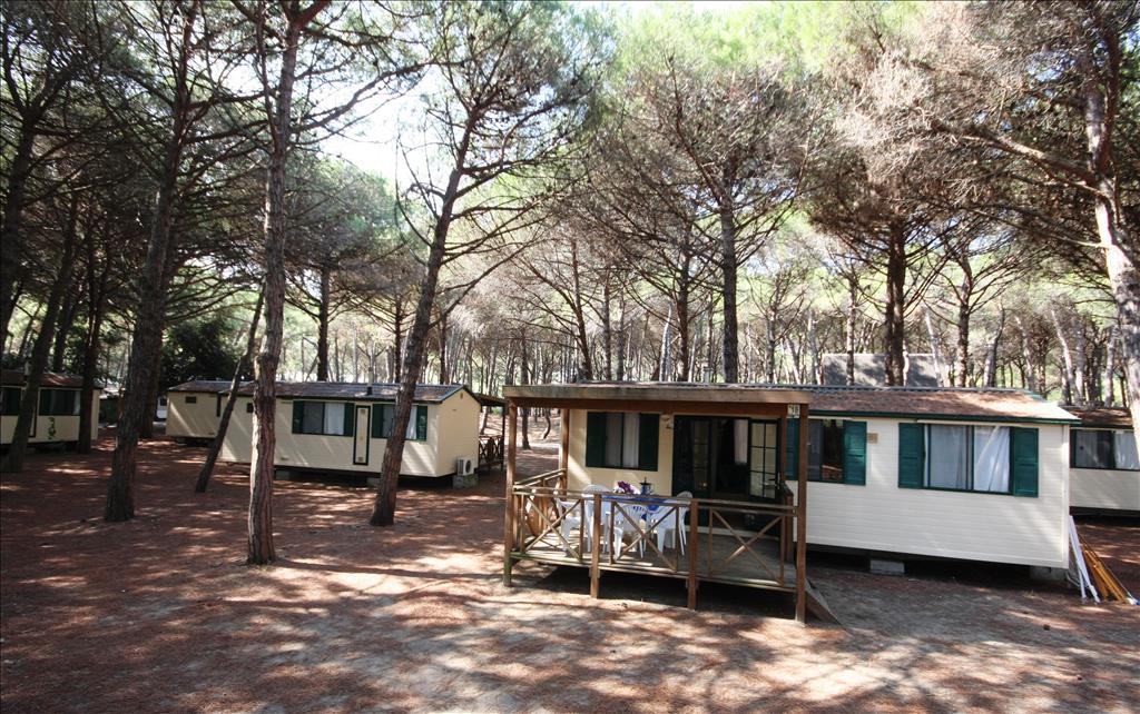 Camping  Spina Camping Village - PrimoPianoDelMobilHomeBeach
