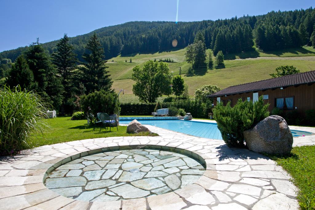 Hotel Stegerhaus - Piscina