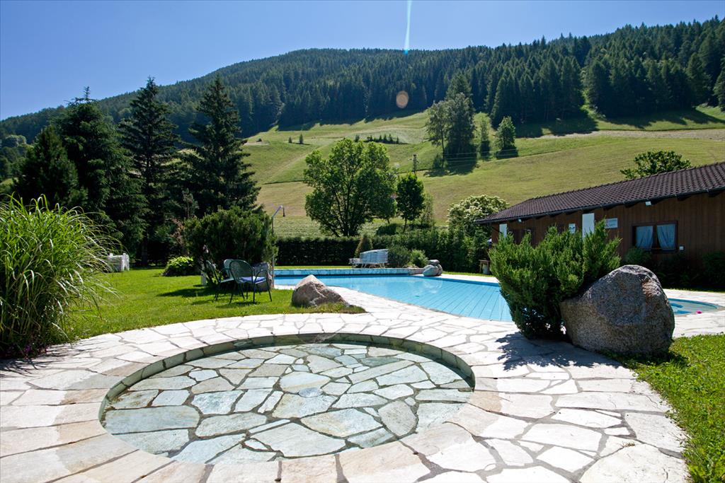 Hotel Stegerhaus - Piscina