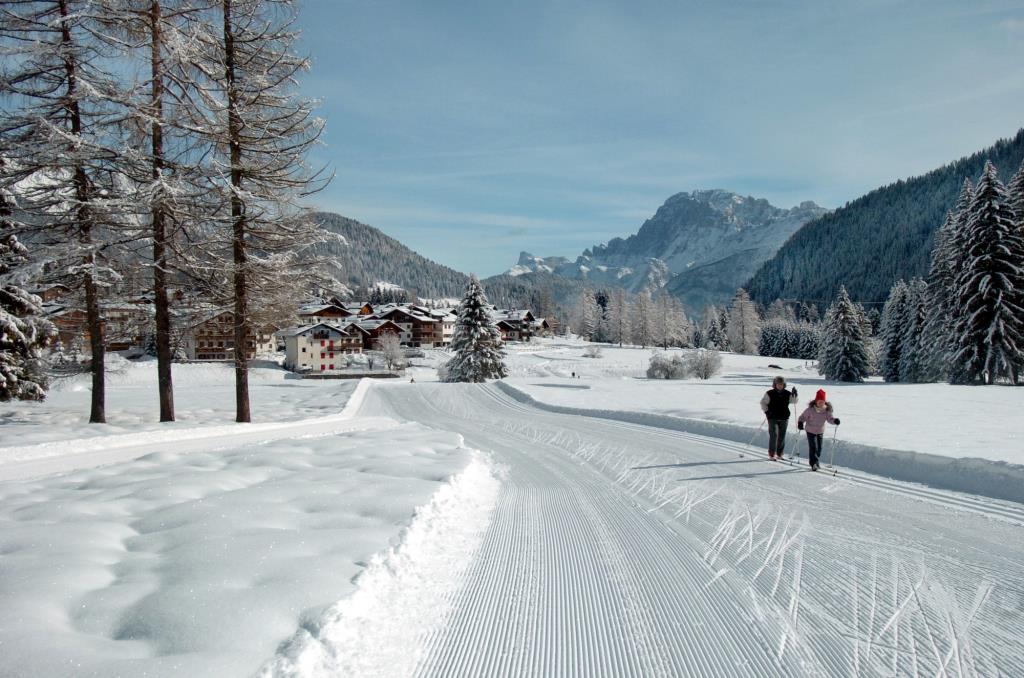 Hotel Stella Alpina - Esterno