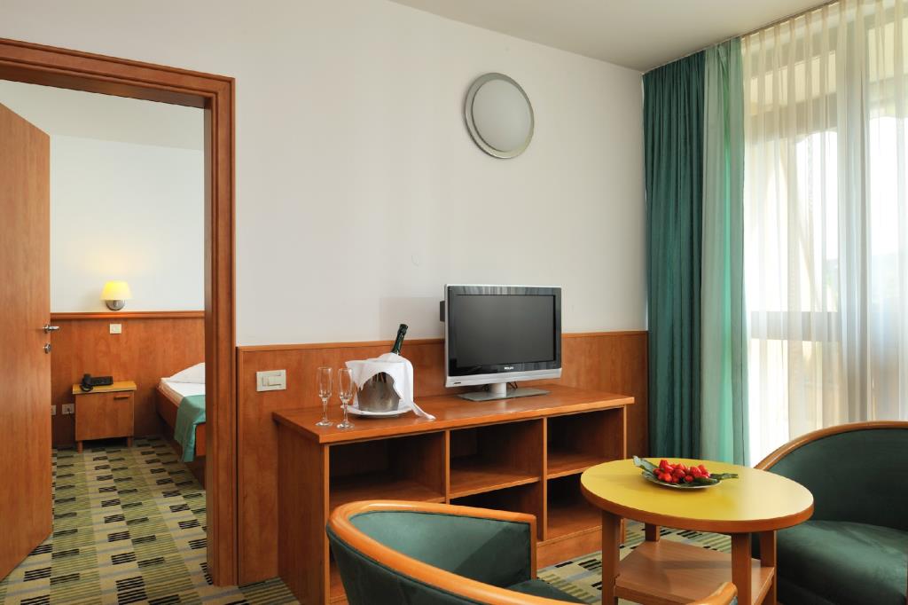 Hotel Svoboda - Camera