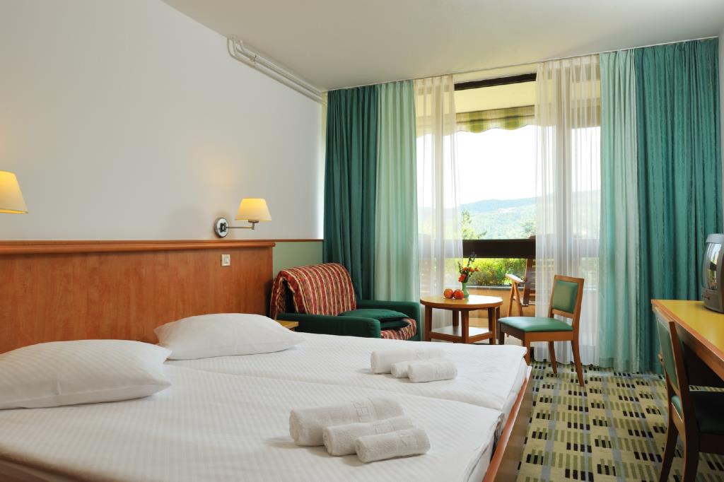 Hotel Svoboda - Camera