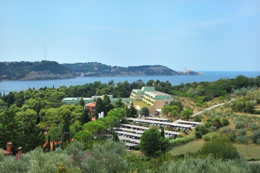 Hotel Svoboda - Esterno