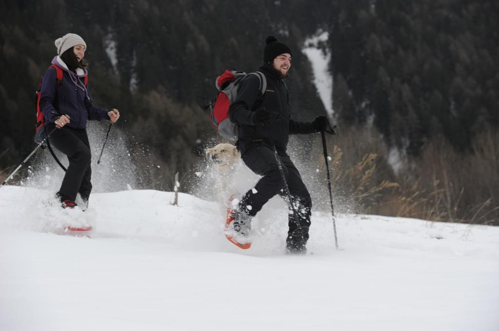 Hotel Tirol - Neve