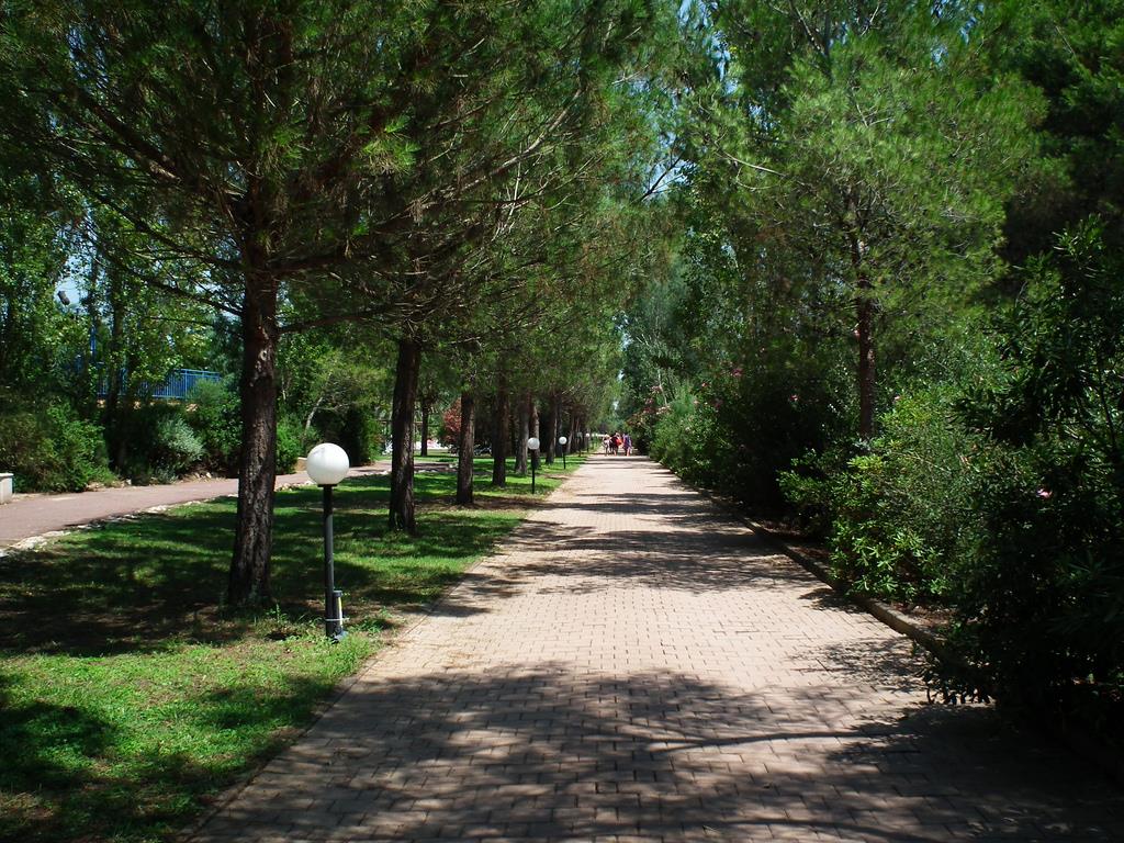 Villaggio Torre del Faro - Viale
