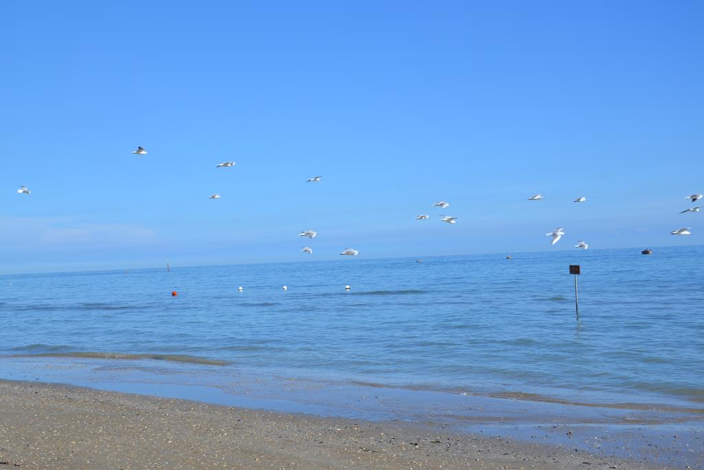 Hotel Trieste - 