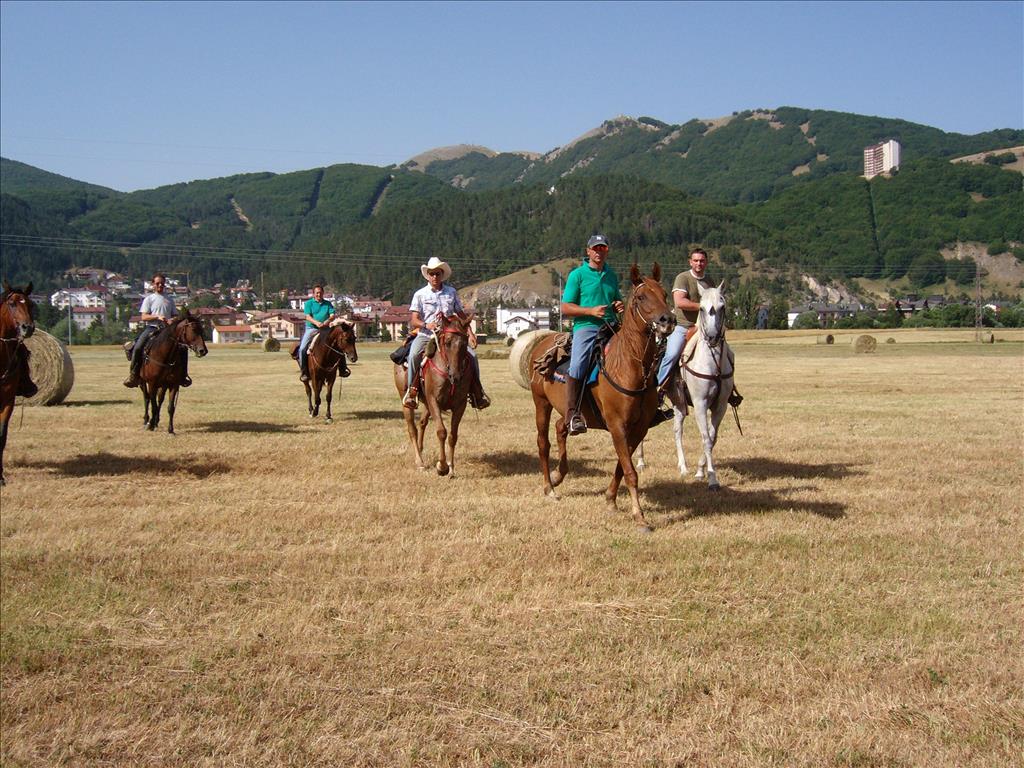 Hotel Trieste - Equitazione
