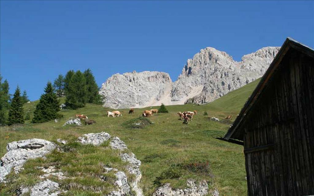 Hotel Val di Fassa - panorama