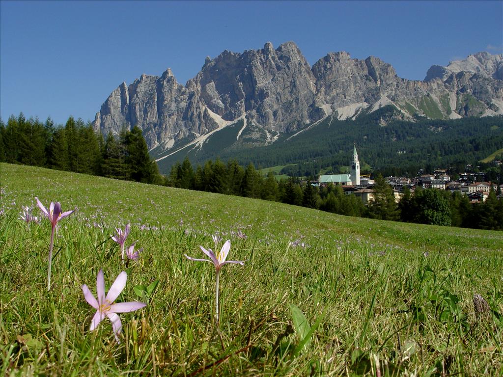 Hotel Villa Argentina - Paesaggio