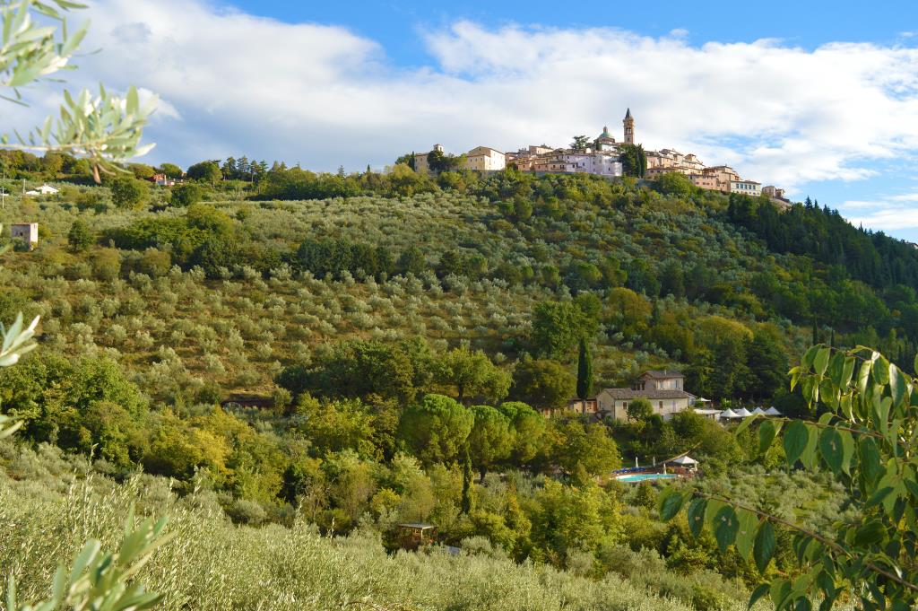 Agriturismo Villa Silvana - Trevi