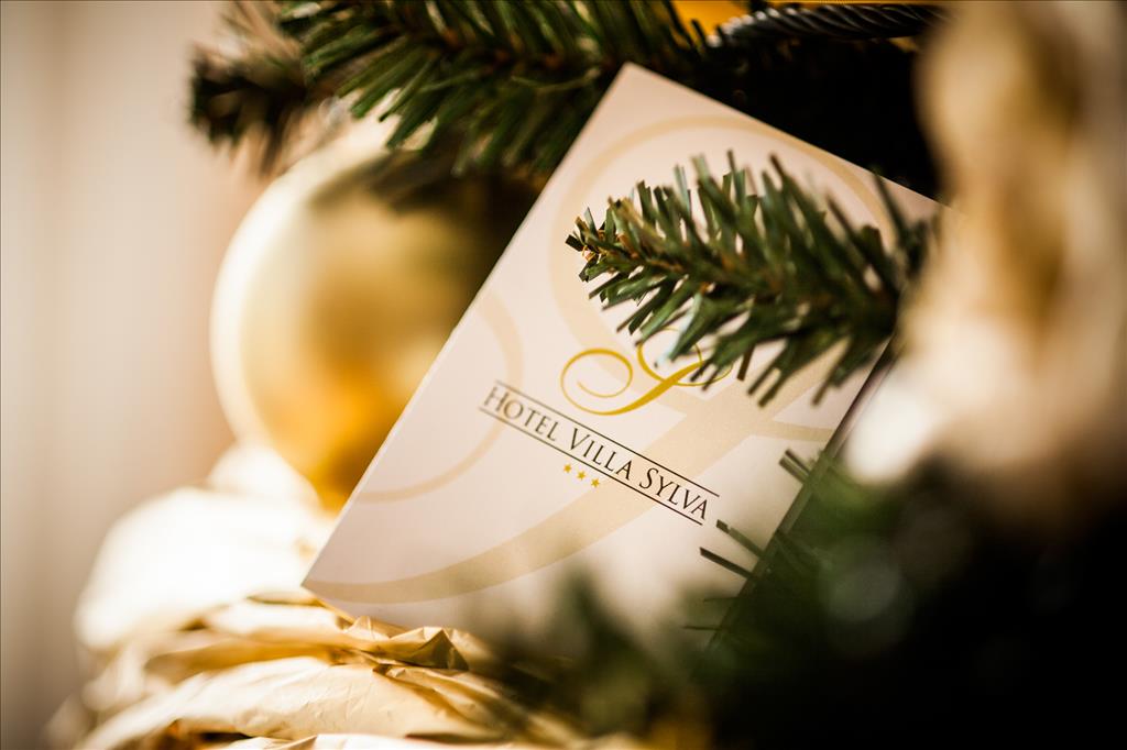 Hotel Villa Sylva - Natale