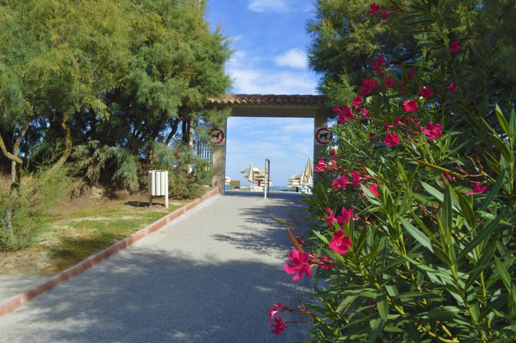 Camping  Village Vigna sul Mar - Campeggio