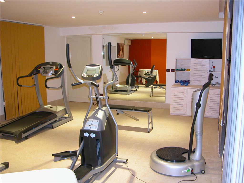 Hotel Viola Palace - Palestra