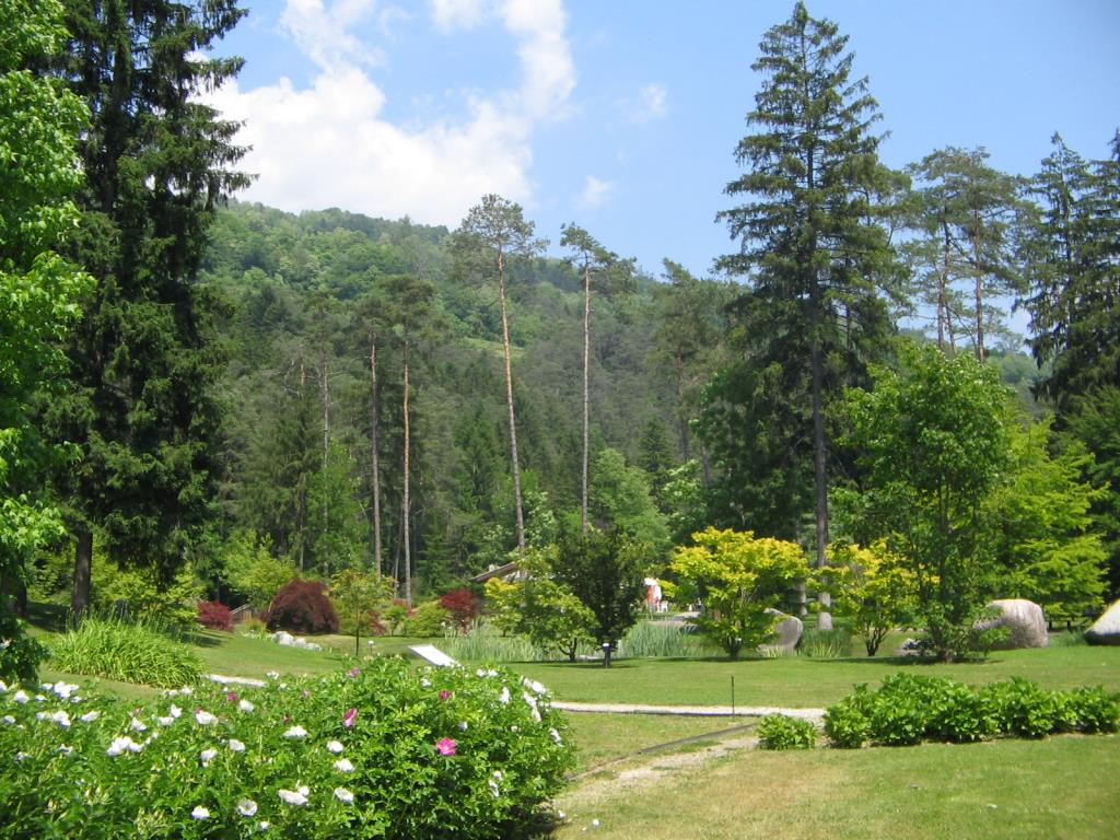 Hotel Vital Flora - Giardino